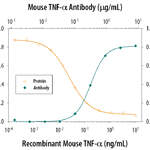 Mouse TNF-alpha  Antibody