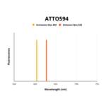 Estrogen Receptor (ESR1) Antibody (ATTO594)