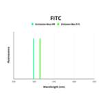 UV Excision Repair Protein RAD23 Homolog B (RAD23B) Antibody (FITC)