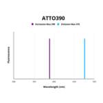 UV Radiation Resistance-Associated Gene Protein (UVRAG) Antibody (ATTO390)