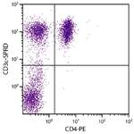 Porcine CD3e Antibody : SPRD (OASB02325)
