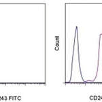 CD243 (ABCB1) Monoclonal Antibody (UIC2), FITC, eBioscience™