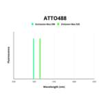 Estrogen Receptor (ESR1) Antibody (ATTO488)