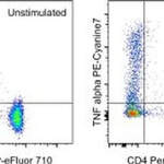 TNF alpha Monoclonal Antibody (MAb11), PE-Cyanine7, eBioscience™