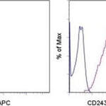 CD243 (ABCB1) Monoclonal Antibody (UIC2), APC, eBioscience™