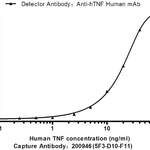Anti TNF a antibody