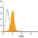 Mouse TNF RI/TNFRSF1A Antibody