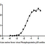 African swine fever virus Phosphoprotein p30(Ba71V-93) Monoclonal Antibody