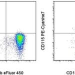 CD115 (c-fms) Monoclonal Antibody (AFS98), PE-Cyanine7, eBioscience™