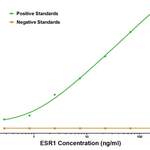ESR1 Detection Antibody : Biotin (OAOA22359)