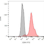 CD44 Monoclonal Antibody (IM7), FITC