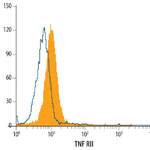 Mouse TNF RII/TNFRSF1B Antibody