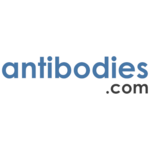 Anti-JAB1 Antibody