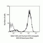 CD3e Monoclonal Antibody (UCHT1), Qdot™ 605