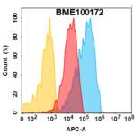 Anti-CD166(praluzatamab biosimilar) mAb