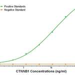 CTNNB1 Detection Antibody : Biotin (OAOA21950)