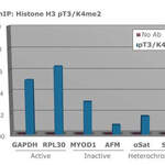 Histone H3 K4me2/phospho T3 Antibody
