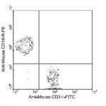 Mouse CD3e Antibody (OASB01648)
