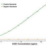 ESR1 Detection Antibody : Biotin (OAOA22357)