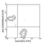Mouse CD3e Antibody : Biotin (OASB00250)